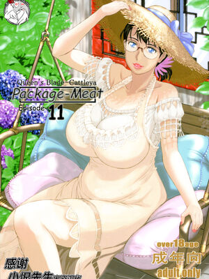 [しあわせプリン堂 (認六)] Package-Meat 全14話 (クイーンズブレイド) [中国翻訳]_377