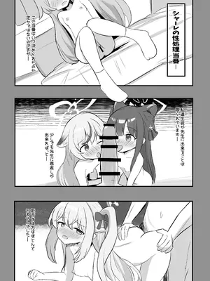 [浮有堂(fuyu_)]キヴォトス出産報告書(ブルーアーカイブ) [DL版]_03