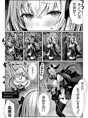 [パイレーツキャット] 性なる賢者でごめんなさい♥～第1章ガマンしないとダメなのに～_28