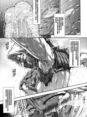 (C105) [Yokohama Junky (魔狩十織)] ソロハンターの生態WORLD12 (モンスターハンター) [不咕鸟汉化组]_26