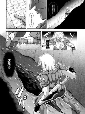 (C105) [Yokohama Junky (魔狩十織)] ソロハンターの生態WORLD12 (モンスターハンター) [不咕鸟汉化组]_19