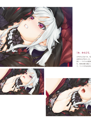 (画集) 美少女万華鏡-八宝備仁アートワークス 上_a014