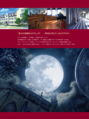 (画集) 美少女万華鏡-八宝備仁アートワークス 上_a015