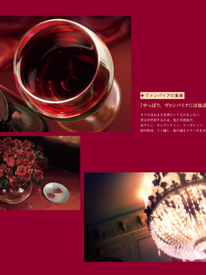 (画集) 美少女万華鏡-八宝備仁アートワークス 上_a020