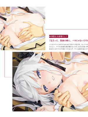 (画集) 美少女万華鏡-八宝備仁アートワークス 上_a024