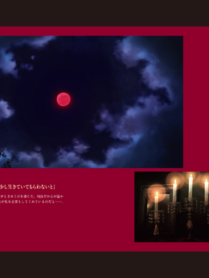 (画集) 美少女万華鏡-八宝備仁アートワークス 上_a030