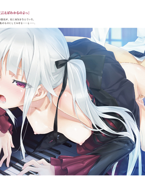 (画集) 美少女万華鏡-八宝備仁アートワークス 上_a040