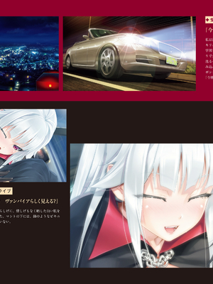 (画集) 美少女万華鏡-八宝備仁アートワークス 上_a041