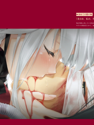 (画集) 美少女万華鏡-八宝備仁アートワークス 上_a057