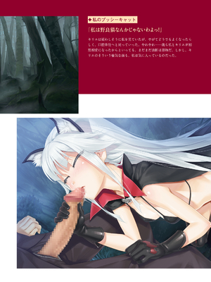 (画集) 美少女万華鏡-八宝備仁アートワークス 上_a058