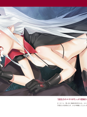 (画集) 美少女万華鏡-八宝備仁アートワークス 上_a059