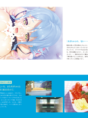 (画集) 美少女万華鏡-八宝備仁アートワークス 上_a083