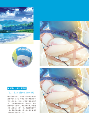 (画集) 美少女万華鏡-八宝備仁アートワークス 上_a100