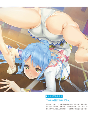 (画集) 美少女万華鏡-八宝備仁アートワークス 上_a104