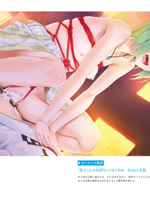 (画集) 美少女万華鏡-八宝備仁アートワークス 上_a120