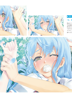 (画集) 美少女万華鏡-八宝備仁アートワークス 上_a124