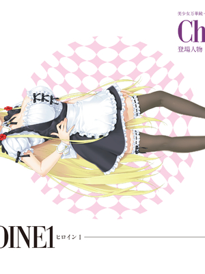 (画集) 美少女万華鏡-八宝備仁アートワークス 上_a139