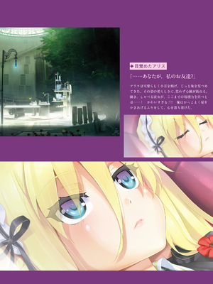 (画集) 美少女万華鏡-八宝備仁アートワークス 上_a153