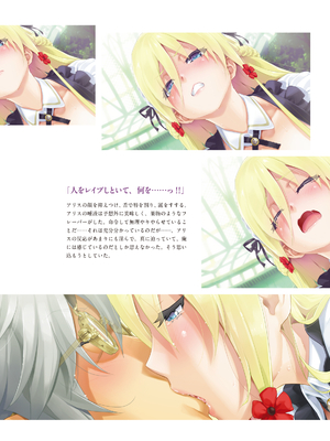 (画集) 美少女万華鏡-八宝備仁アートワークス 上_a159