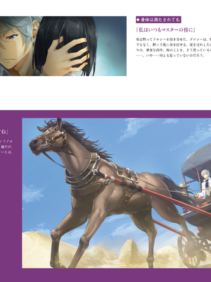 (画集) 美少女万華鏡-八宝備仁アートワークス 上_a167