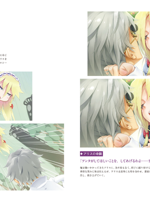 (画集) 美少女万華鏡-八宝備仁アートワークス 上_a170