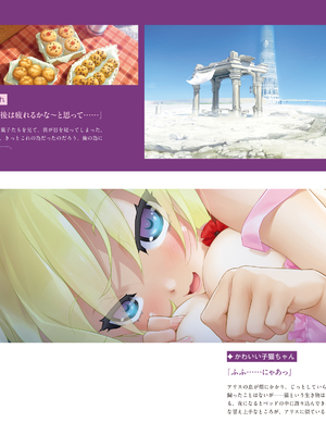 (画集) 美少女万華鏡-八宝備仁アートワークス 上_a192