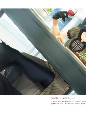 (画集) 美少女万華鏡-八宝備仁アートワークス 上_a195