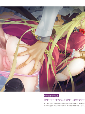 (画集) 美少女万華鏡-八宝備仁アートワークス 上_a206