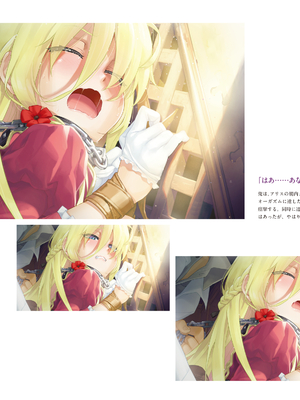 (画集) 美少女万華鏡-八宝備仁アートワークス 上_a207