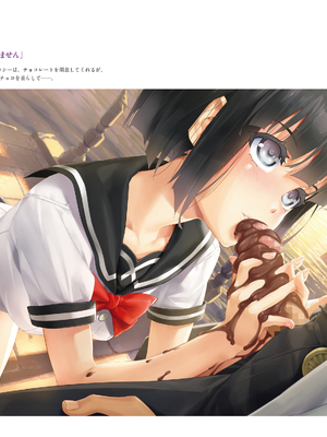 (画集) 美少女万華鏡-八宝備仁アートワークス 上_a218