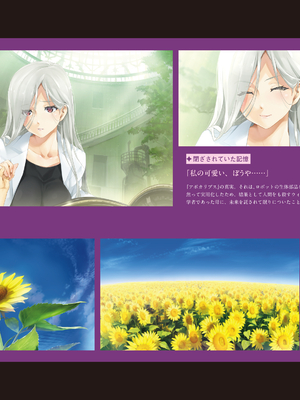 (画集) 美少女万華鏡-八宝備仁アートワークス 上_a227