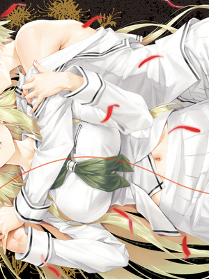 (画集) 美少女万華鏡-八宝備仁アートワークス 下_b000B