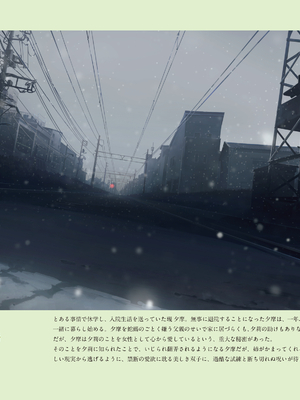 (画集) 美少女万華鏡-八宝備仁アートワークス 下_b024