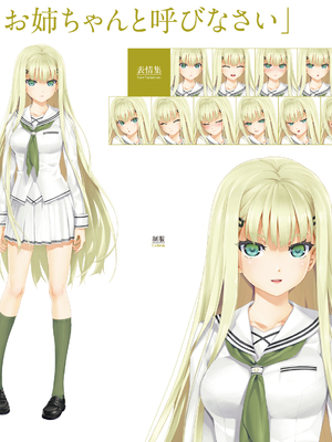 (画集) 美少女万華鏡-八宝備仁アートワークス 下_b026