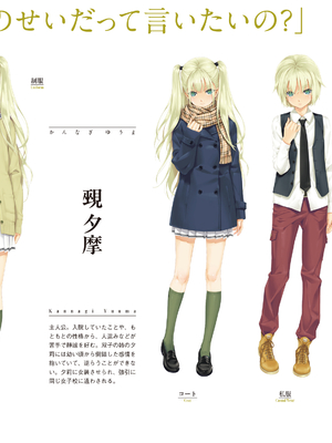 (画集) 美少女万華鏡-八宝備仁アートワークス 下_b029