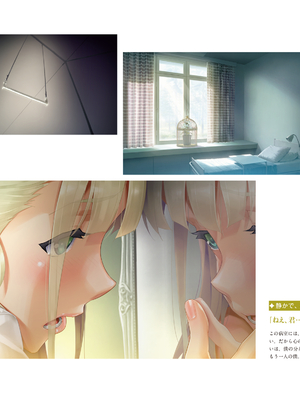 (画集) 美少女万華鏡-八宝備仁アートワークス 下_b035