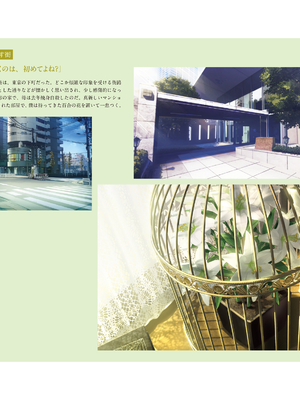 (画集) 美少女万華鏡-八宝備仁アートワークス 下_b037