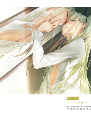 (画集) 美少女万華鏡-八宝備仁アートワークス 下_b039