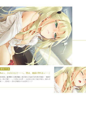 (画集) 美少女万華鏡-八宝備仁アートワークス 下_b042