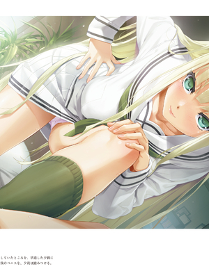 (画集) 美少女万華鏡-八宝備仁アートワークス 下_b048