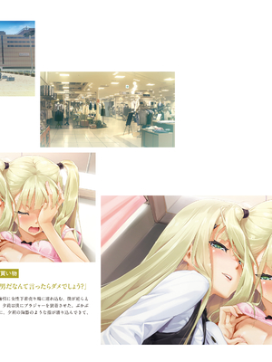 (画集) 美少女万華鏡-八宝備仁アートワークス 下_b050