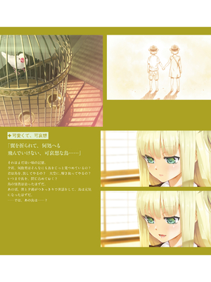 (画集) 美少女万華鏡-八宝備仁アートワークス 下_b053