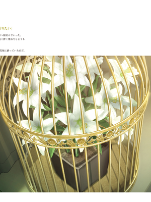 (画集) 美少女万華鏡-八宝備仁アートワークス 下_b056