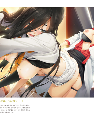 (画集) 美少女万華鏡-八宝備仁アートワークス 下_b058