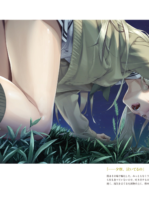 (画集) 美少女万華鏡-八宝備仁アートワークス 下_b065