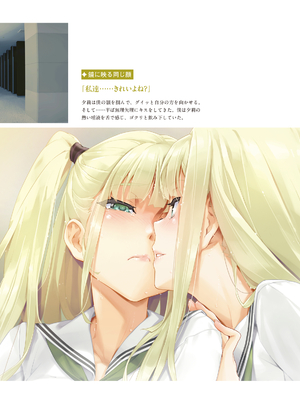 (画集) 美少女万華鏡-八宝備仁アートワークス 下_b080