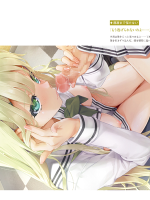 (画集) 美少女万華鏡-八宝備仁アートワークス 下_b085