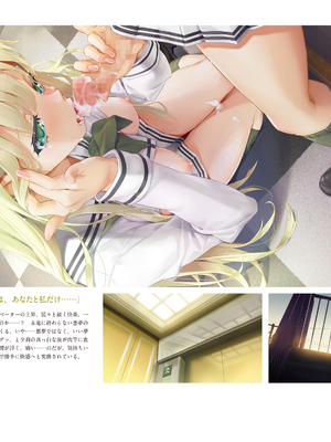 (画集) 美少女万華鏡-八宝備仁アートワークス 下_b086