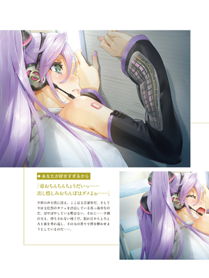 (画集) 美少女万華鏡-八宝備仁アートワークス 下_b089