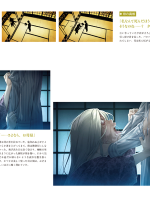 (画集) 美少女万華鏡-八宝備仁アートワークス 下_b102